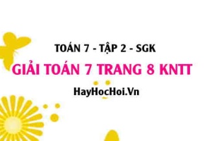 Giải Toán 7 trang 8 Kết nối tri thức Tập 2 SGK